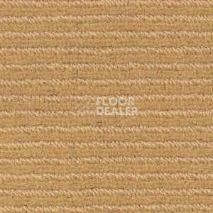 Ковролин Radici Solo Camel 4985 фото 1 | FLOORDEALER